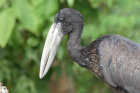 image OUGANDA_037.jpg