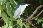image OUGANDA_040.jpg