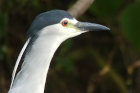 image OUGANDA_042.jpg