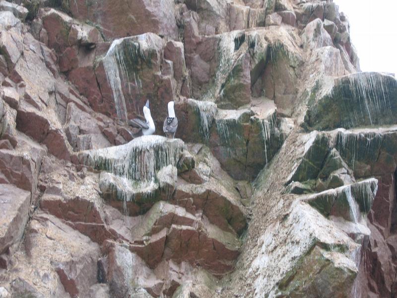 Image PerouBolivie_014.JPG