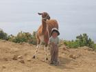 Image PerouBolivie_084.JPG