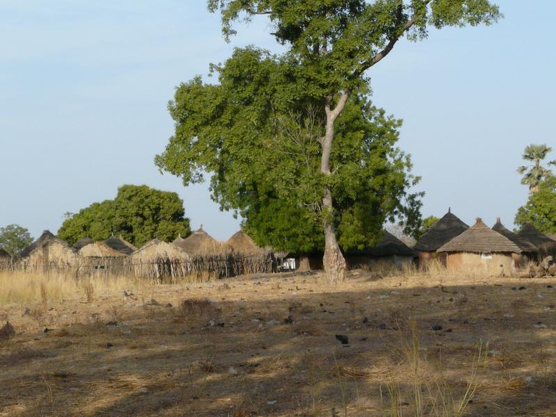 image Senegal_013.jpg