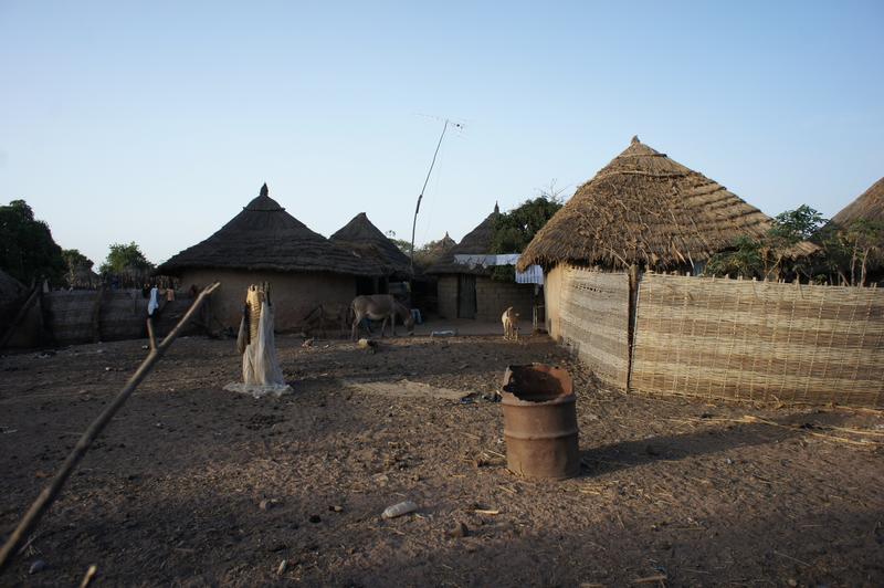 image Senegal_019.jpg