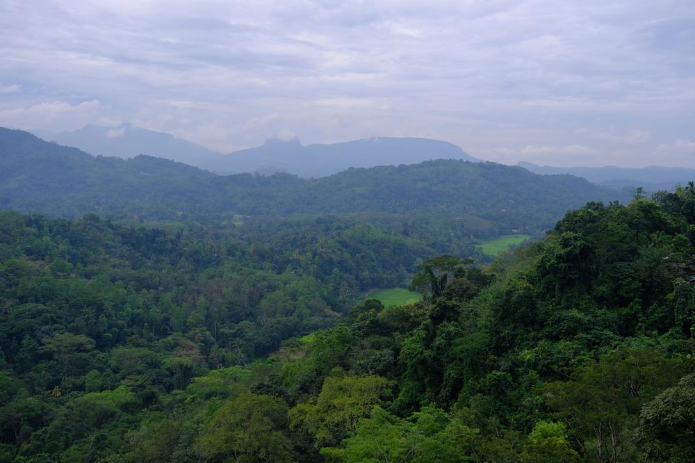 image SriLanka_011.jpg