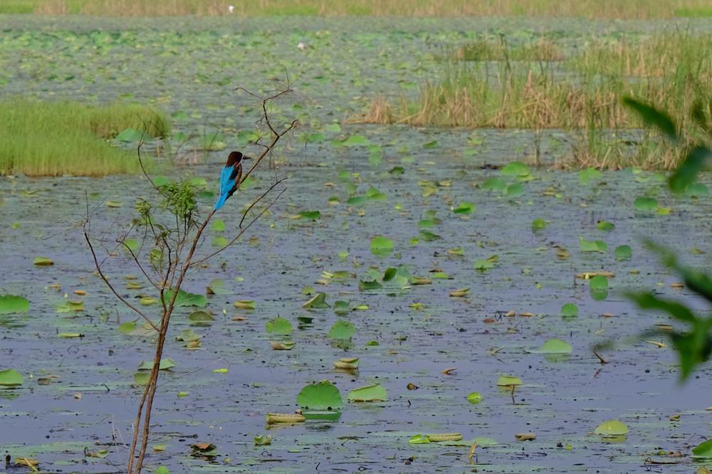 image SriLanka_094.jpg