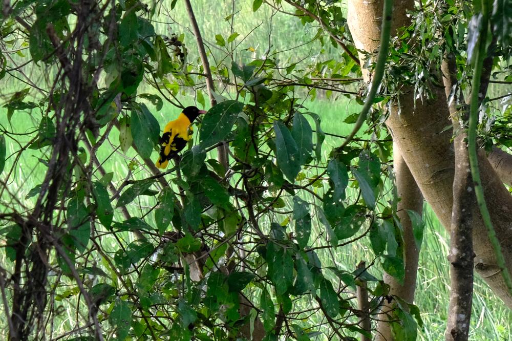 image SriLanka_102.jpg