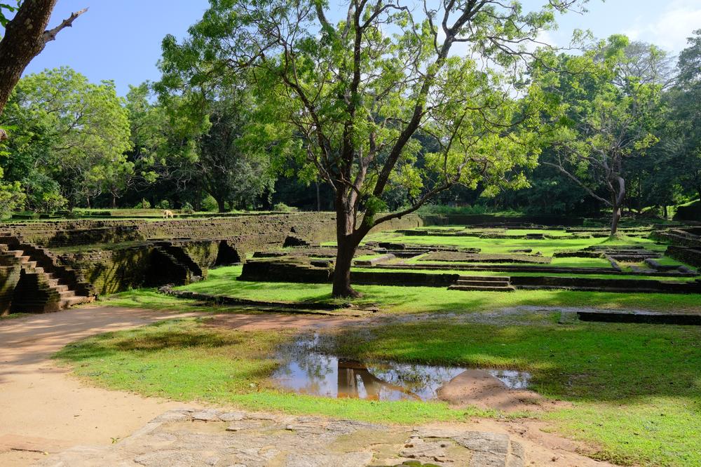 image SriLanka_113.jpg