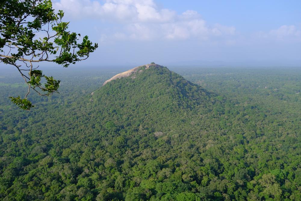 image SriLanka_129.jpg