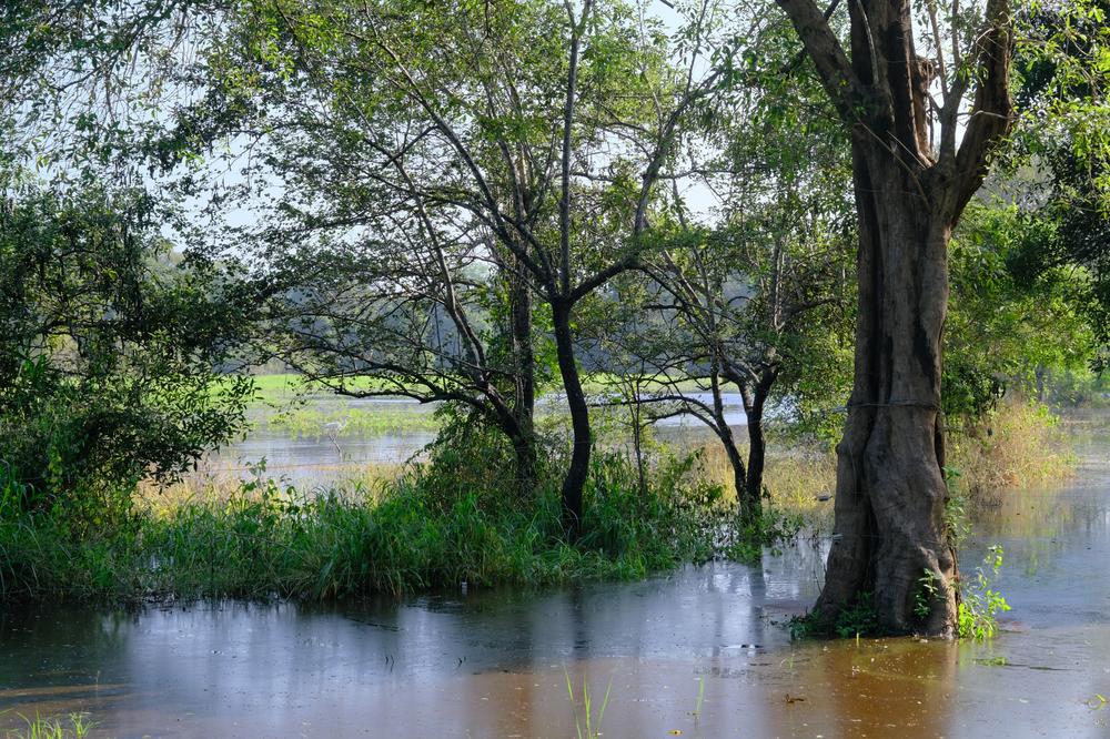 image SriLanka_136.jpg