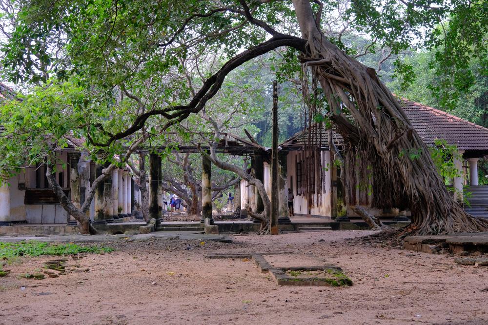 image SriLanka_149.jpg