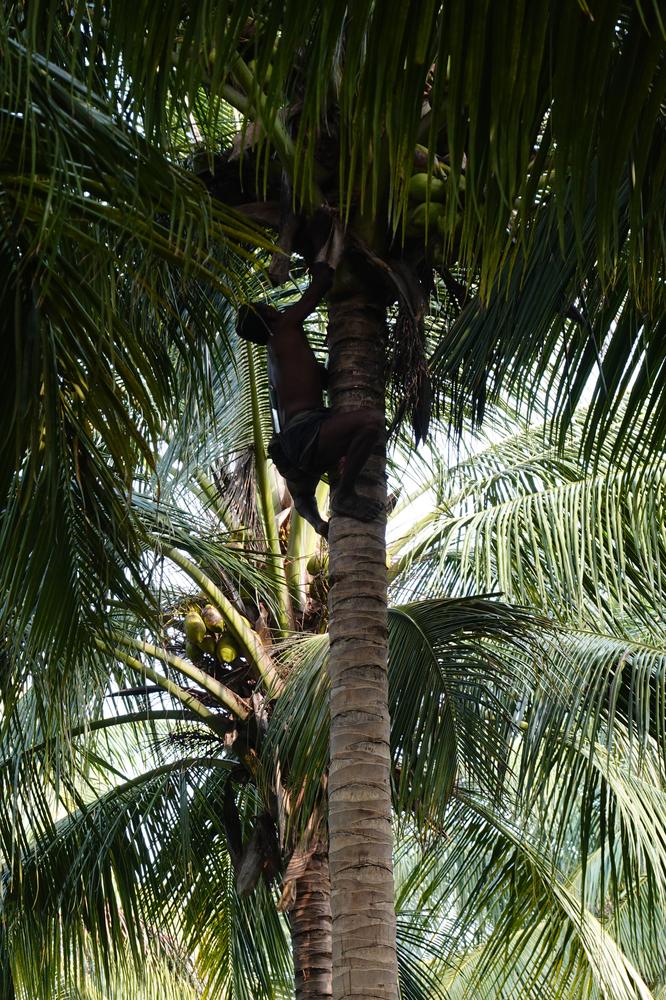 image SriLanka_150.jpg