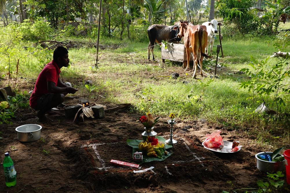 image SriLanka_160.jpg