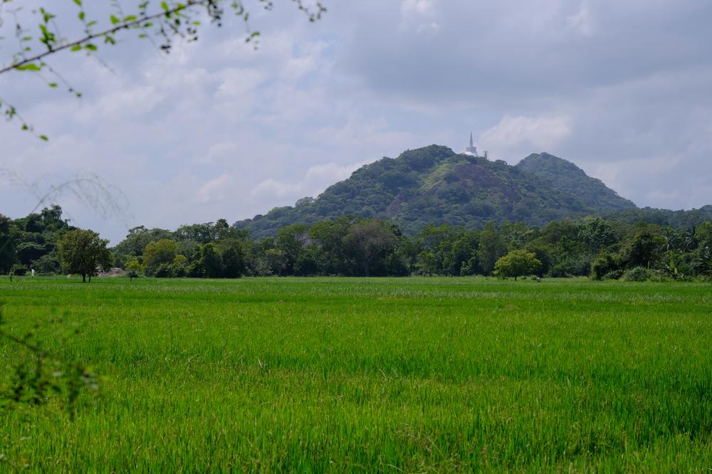 image SriLanka_173.jpg