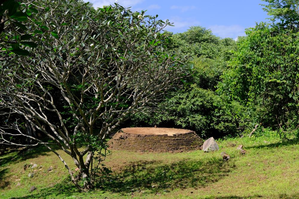image SriLanka_180.jpg