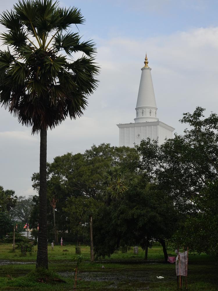 image SriLanka_201.jpg