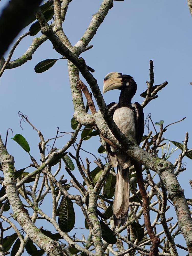 image SriLanka_206.jpg
