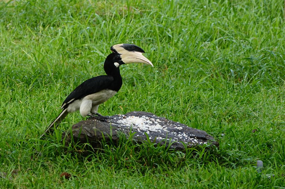 image SriLanka_207.jpg
