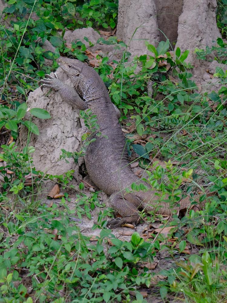 image SriLanka_227.jpg