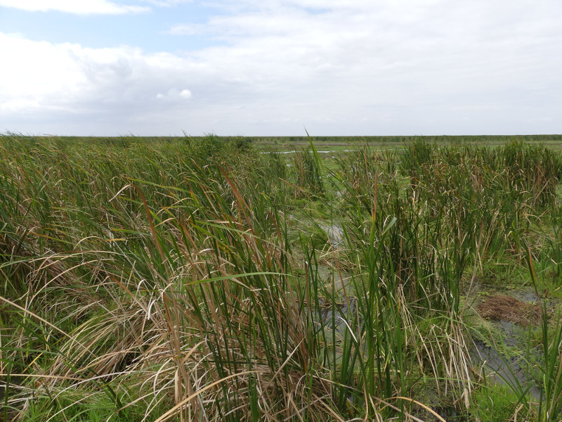 image Tanzanie_448.jpg