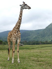 image Tanzanie_017.jpg