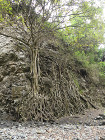 image Tanzanie_020.jpg