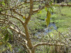 image Tanzanie_021.jpg