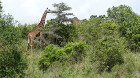 image Tanzanie_023.jpg