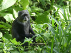 image Tanzanie_029.jpg