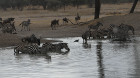 image Tanzanie_045.jpg