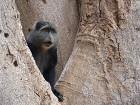 image Tanzanie_433.jpg