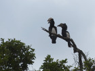 image Tanzanie_434.jpg