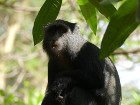 image Tanzanie_438.jpg