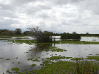 image Tanzanie_443.jpg