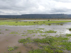 image Tanzanie_446.jpg