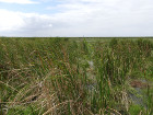 image Tanzanie_448.jpg
