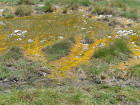 image Tanzanie_457.jpg