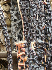 image Tanzanie_468.jpg
