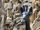 image Tanzanie_469.jpg