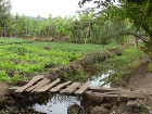 image Tanzanie_470.jpg