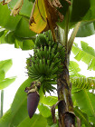 image Tanzanie_472.jpg