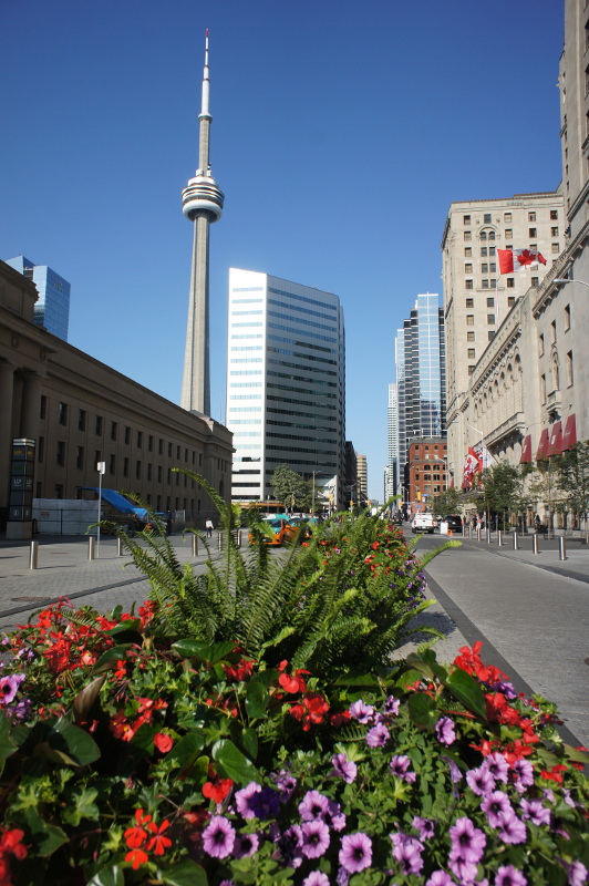 image Toronto_010.jpg