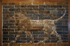 image Toronto_068.jpg